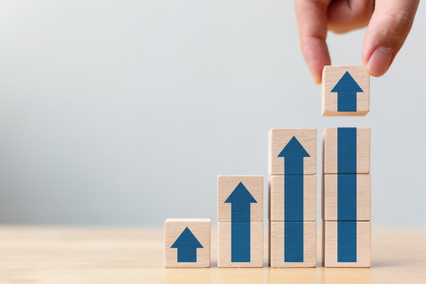 Revenue Maximization